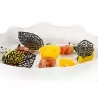 Silikomart Professional Forest Foresta Naturae 24 Leaves Mold - Inspiration by Chef Andrea Valentinetti