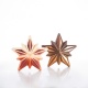 Pavoni KT208 Pavoni Thermoformed Chocolate Christmas Star - POLARIS - 172 mm x 164 mm x 75 mm H - 150g Holidays Molds