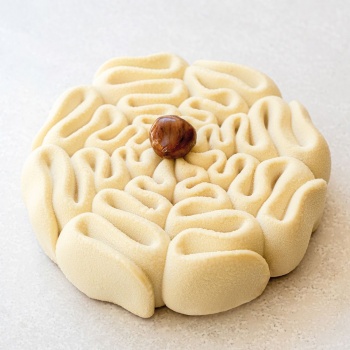 Pavoni Professional Entremet Silicone Mold - DENTELLE - by Cédric Grolet - 180 mm x 50 mm h - 1000 ml