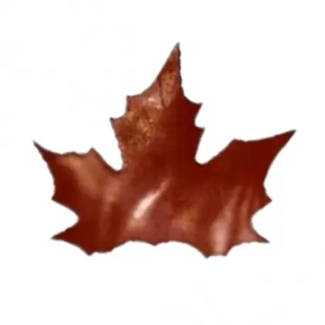 Pastry Chef's Boutique HOC08012 Silicone Chocolate Decorations Chablons Mat - Large - Canadian Maple Leaves - 8 x 6.8 cm - 12...