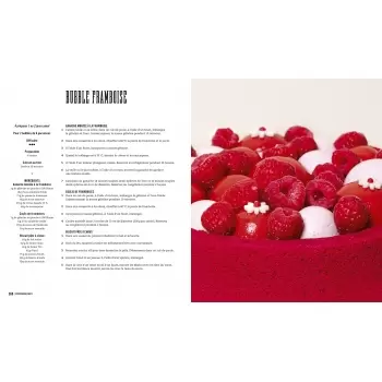 PATISSERIE-AL Pâtisserie: Arnaud Larher - Meilleur Ouvrier de France - Paperback - French Language Pastry and Dessert Books