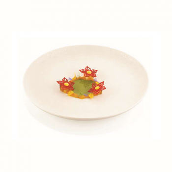 Silikomart 33.316.36.0065 Silikomart Professional Naturae Botanica by Hangar Team78 - 34 cavity Decoration Silicone Molds