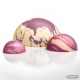 Chocolate World E8001-120 Polycarbonate Large Half Sphere Hemisphere Mold - 120mm x 60mm - 1 x 1 mold Sphere & Domes Molds