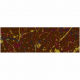 Barry Callebaut F028865 Color Splashes 2 Chocolate Transfer Sheets - 300 mm x 400 mm - 10 sheets Chocolate Transfer Sheets