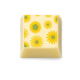 Barry Callebaut F032552 Daisies 2 Chocolate Transfer Sheets - 300 mm x 400 mm - 10 sheets Chocolate Transfer Sheets