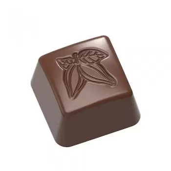 Polycarbonate Cocoa Bean Stamp Praline Chocolate Mold - 26 x 26 x 16 mm - 10gr - 3x8 Cavity - 275x135x24mm