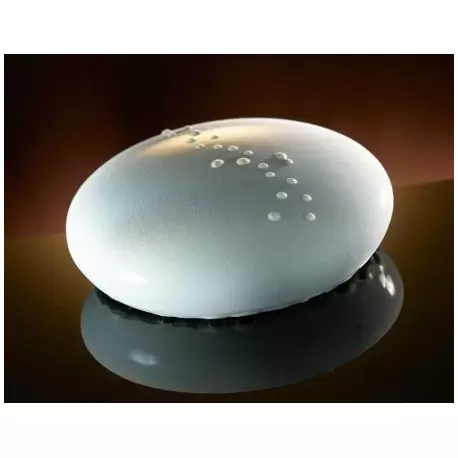 SILMAE Professional Silicone Pastry Mold - Pebble - Ø161X50 mm - 800ml SILMAE Professional Silicone Pastry Mold - Pebble - Ø161X50 mm - 800ml