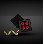 Deluxe Rigid Closed Frame Candy Chocolate Boxes with Insert and Cushion Pad - Holds 4 Chocolates - Pack of 48