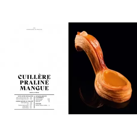 Le Grand Livre de la Boulangerie - Viennoiserie by Jean-Marie Lanio, Thomas Marie, Olivier Magne, Jeremy Ballester. - French