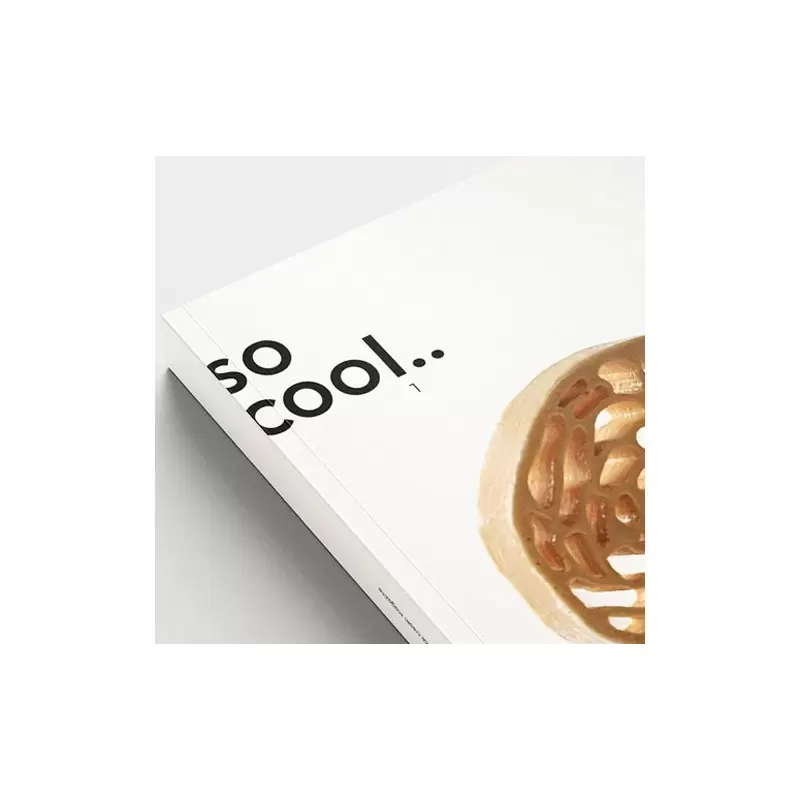 So Cool Magazine 1, The Magazine of Signature Ice Cream by Grupo Vilbo