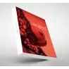 Grupo Vilbo SO GOOD 29 So Good Magazine 29, The Magazine of Haute P...