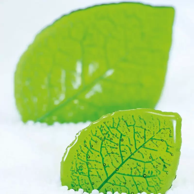 Silicone Beech Leaf Decoration Silicone Mold - 118mm x 87mm