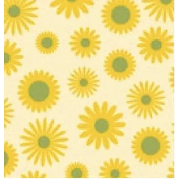 Daisies 2 Chocolate Transfer Sheets - 300 mm x 400 mm - 10 sheets