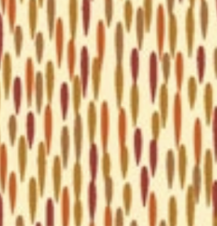 Chocolate World F028892 Chocolate Transfer Sheets - COLOR