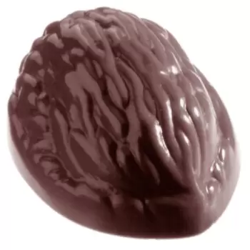 Polycarbonate Walnut Chocolate Mold - 38mm x 29mm x h 18mm - 13gr - 32 cavity