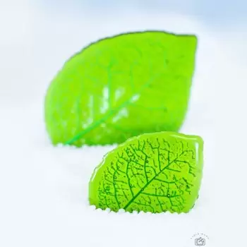 SILMAE Professional Silicone Beech Leaf Decorative Sugar Chablon Mold - 113mm x 83mm x h 1mm