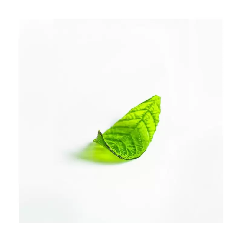 SILMAE Professional Silicone Cocoa Leaf Decorative Sugar Chablon Mold - 150mm x 50mm x h 1mm