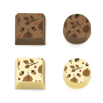 Autumn Theme Chocolate Transfer Sheets - 300 mm x 400 mm - 10 sheets