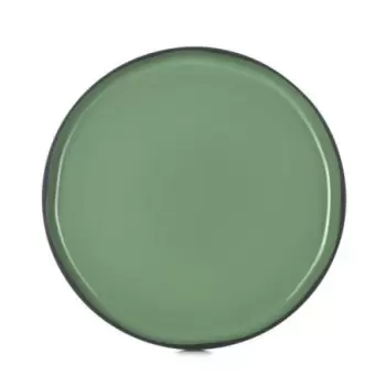 Revol 652712 Revol Caractere Collection Dinner Plate - Mint - Set o...