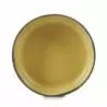 Revol 655038 Revol Caractere Collection Gourmet Plate 17 cm - Tumer...