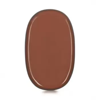 Revol 652761 Revol Caractere Collection Oval Plate - Cinnamon - Set...