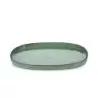Revol 652760 Revol Caractere Collection Oval Plate - Mint - Set of ...