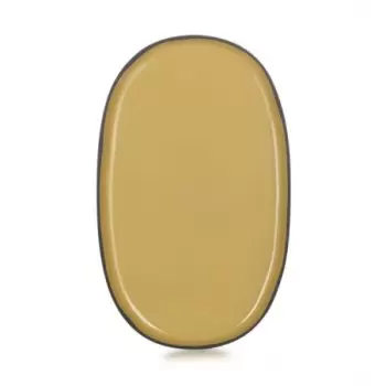 Revol 652764 Revol Caractere Collection Oval Plate - Tumeric - Set ...