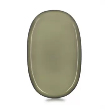 Revol 652762 Revol Caractere Collection Oval Plate - Cardamom - Set...
