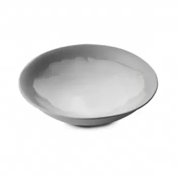 Revol 655428 Revol No.W Collection Deep Coupe Plate 24 cm - Arctic ...