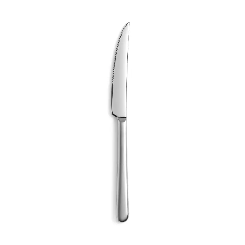 Revol 656616 Revol Courchevel Collection Steak Knife - 18/10 satin ...
