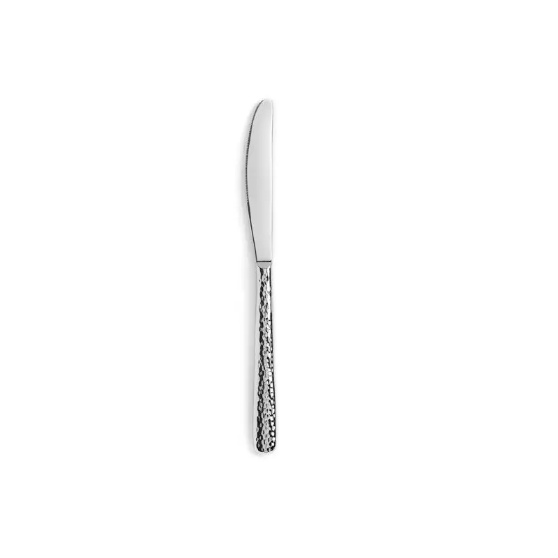 Revol 656633 Revol Courchevel Collection Dessert Knife - 18/10 hamm...