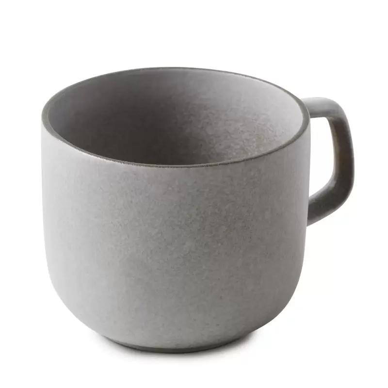 Revol 660527 Revol Equinoxe Collection Tea Cup 20 cl - Pepper - Set...