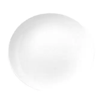 TURGLA D129IZ00 Turgla Porcelain Delta-Coupe 11" x 10" Oval White P...