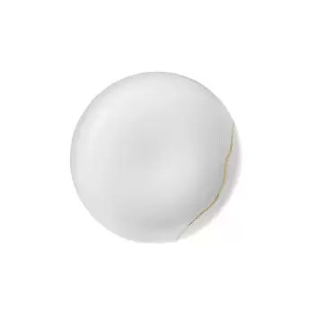 Degrenne 244120 Degrenne Supernature Gold Round Dessert Plate 21.5 ...