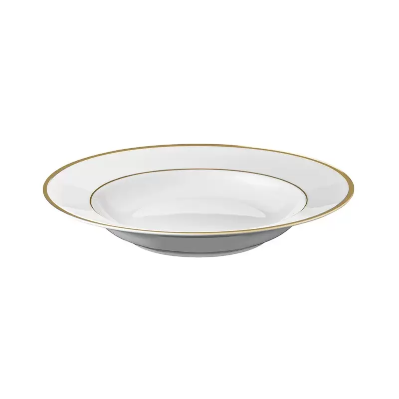 Degrenne 241097 Degrenne Galon Or Round Cereal Plate 22.5 cm - 22.5...