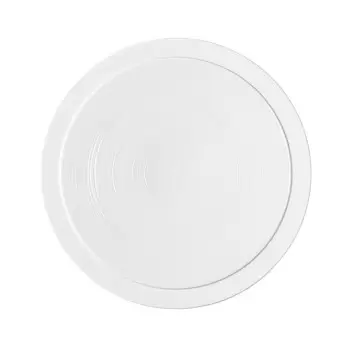 Degrenne 239317 Degrenne Bahia Pierre De Lune Round Dinner Plate 26...