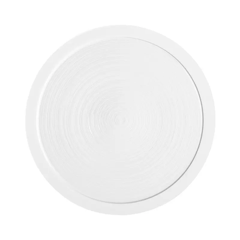 Degrenne 239318 Degrenne Bahia Pierre De Lune Round Dinner Plate 29...