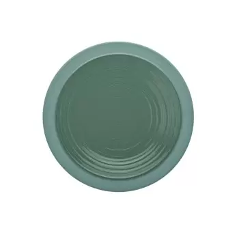 Degrenne 230950 Degrenne Bahia Argile Verte Round Dinner Plate 23 c...
