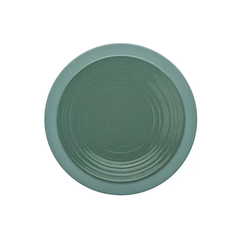 Degrenne 230950 Degrenne Bahia Argile Verte Round Dinner Plate 23 c...