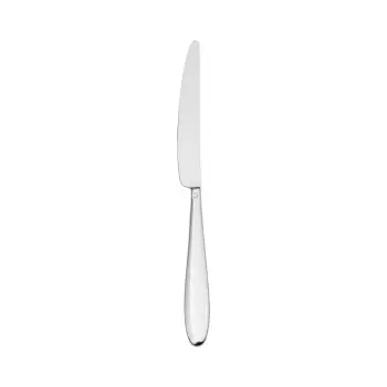 TURGLA ETE1820-5 Turgla Flatware Anzo 9.25" Silver Stainless Steel ...