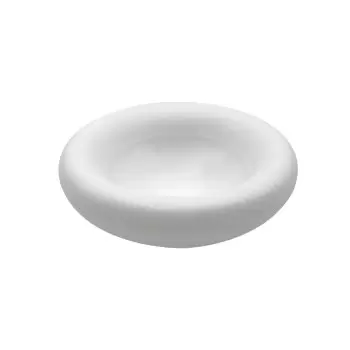 Jil Coquet BOL2015BS0000 Jil Coquet Bolero Bubble Cup - Large 11 20 cl