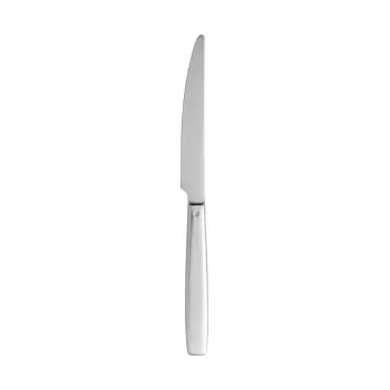 TURGLA ETE1520-5 Turgla Flatware Astoria 9.75" Silver Brushed Stain...