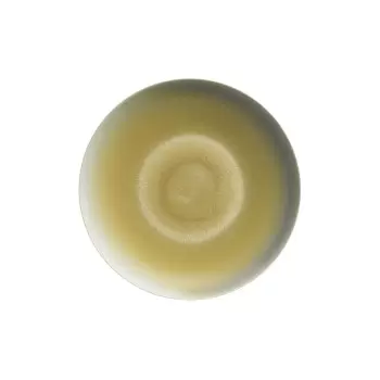 Jaune de Chrome AGO1028DUNECREM000 Jaune de Chrome Dune Dessert Pla...