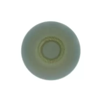 Jaune de Chrome AGO1028TVERCREM000 Jaune de Chrome Todra Green Dess...