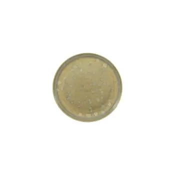 Jaune de Chrome DMO1008BASMBLNC000 Jaune de Chrome Basmati Bread & ...