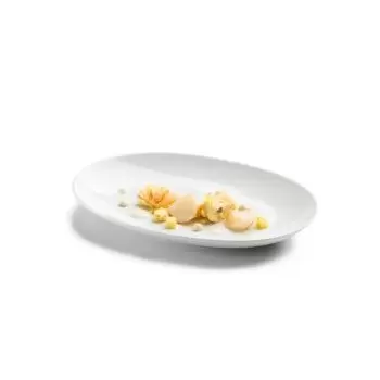 Pordamsa V0888-0426 Pordamsa Zen Oval Tray 26 cm
