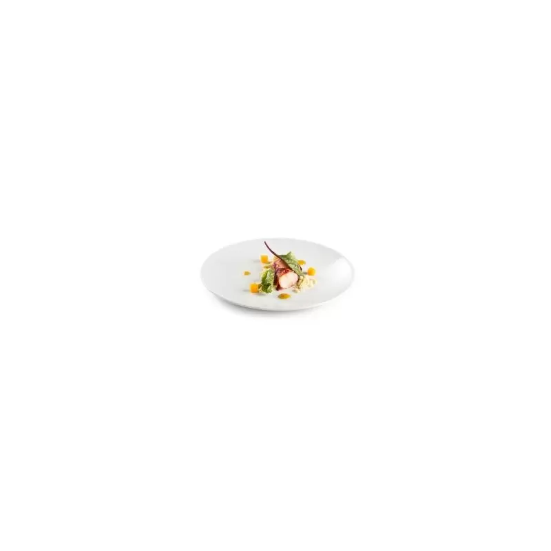Pordamsa V0777-0120 Pordamsa Zen Dessert Plate 21 cm