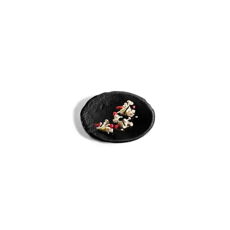Pordamsa XGLAS-8127 Pordamsa Takumi Glass Plate 27 cm