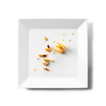 Pordamsa V0818-0127 Pordamsa Square Flat Plate 27 cm