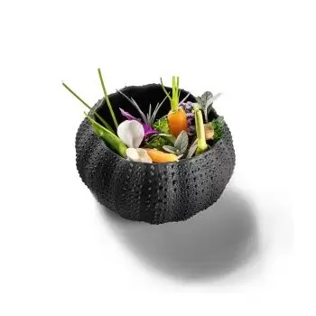 Pordamsa B0122-0057G Pordamsa Sea Urchin Mat 12 cm Black